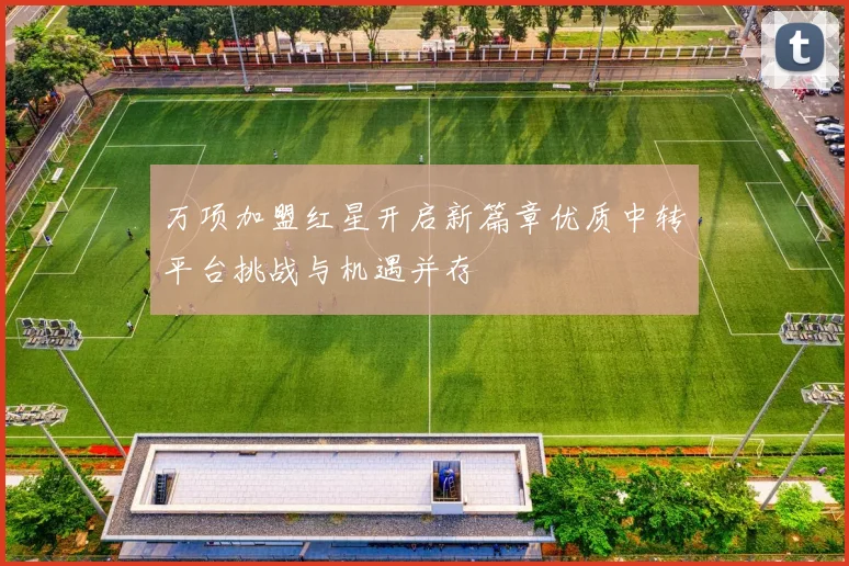 万项加盟红星开启新篇章优质中转平台挑战与机遇并存