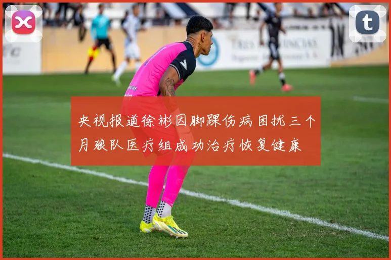 央视报道徐彬因脚踝伤病困扰三个月狼队医疗组成功治疗恢复健康