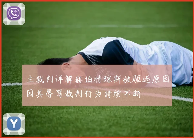 主裁判详解赫伯特琼斯被驱逐原因因其辱骂裁判行为持续不断