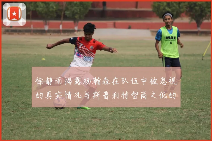 徐静雨揭露杨瀚森在队伍中被忽视的真实情况与斯普利特智商之低的尴尬真相